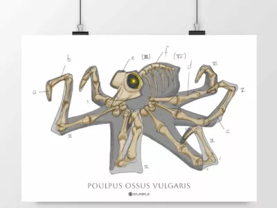 Affiche artistique représentant un poulpe anatomique intitulée 'Poulpus Ossus Vulgaris'