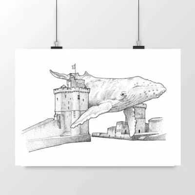 Baleine à La Rochelle