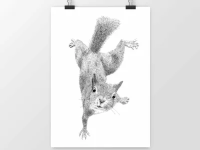 Affiche noir et blanc écureuil déco murale mabe création
