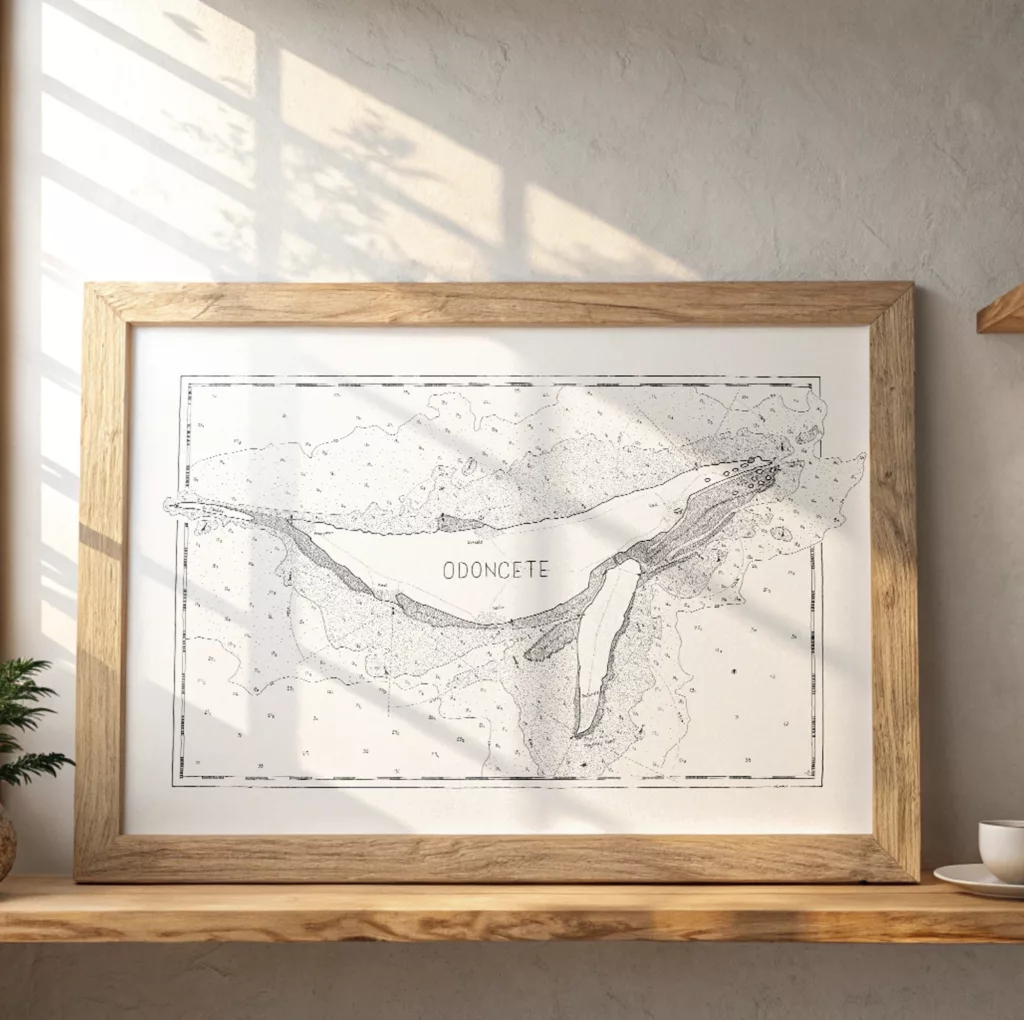 Un poster encadré représentant une carte minimaliste en noir et blanc avec le mot "ODONCETE" au centre, posé sur une étagère en bois, baignée par la lumière naturelle.