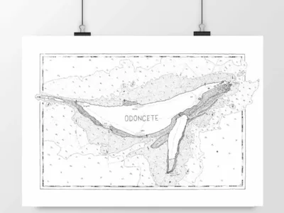 Un poster artistique en noir et blanc représentant Illustration Odontocète inspirée des cartes marines, accroché au mur par deux pinces noires.