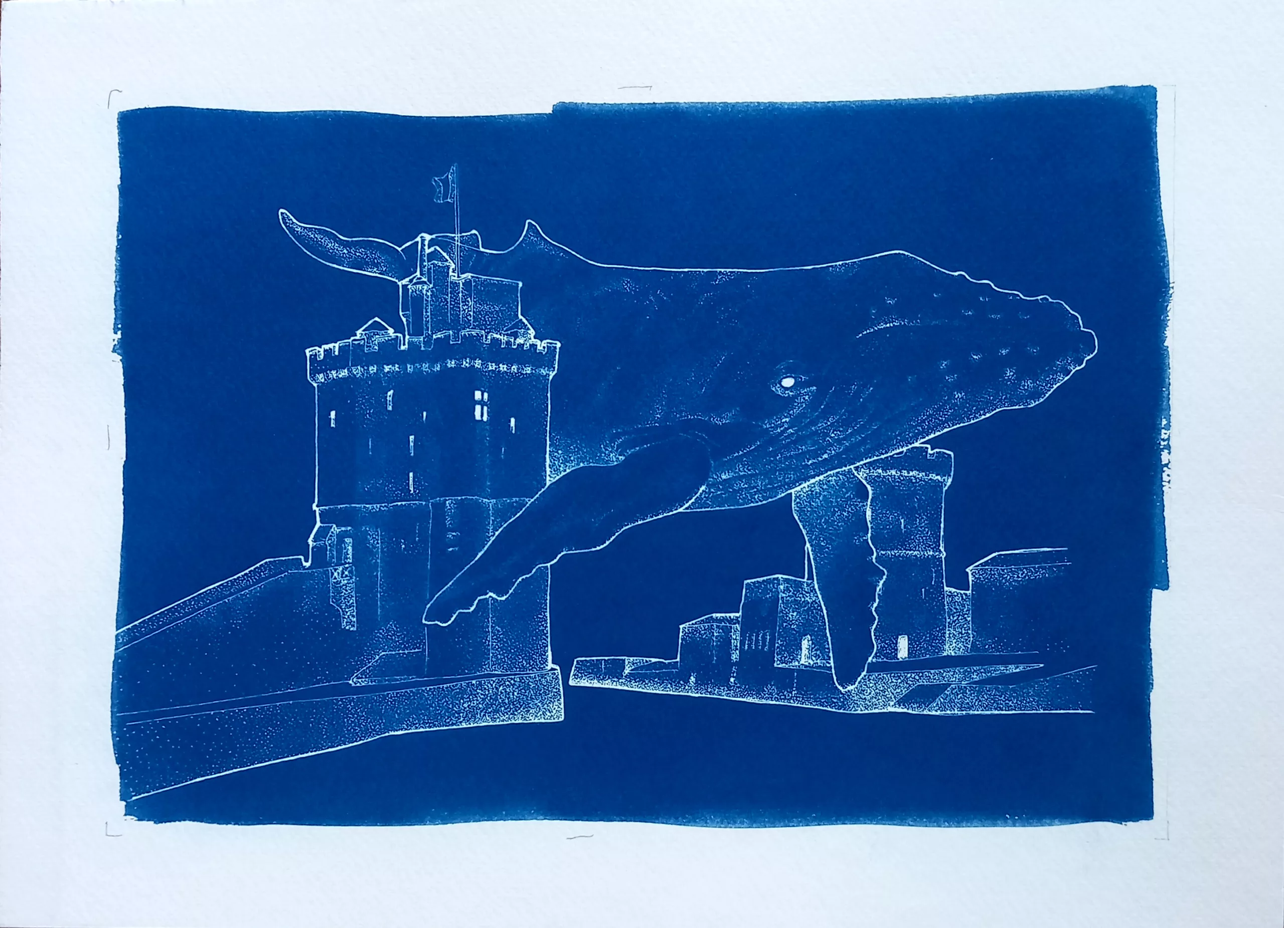 cyanotype d'une dessin de mabe création