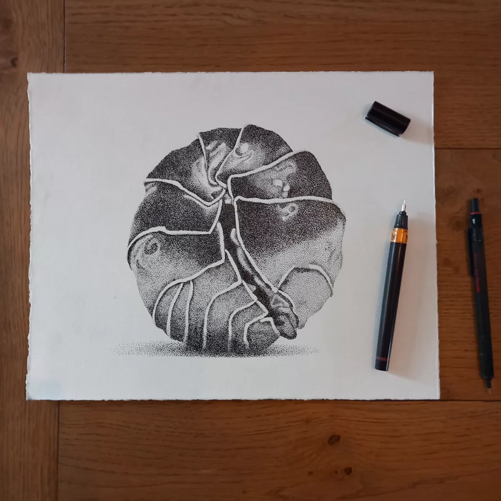 Illustration cloporte encre à la main – mabe création