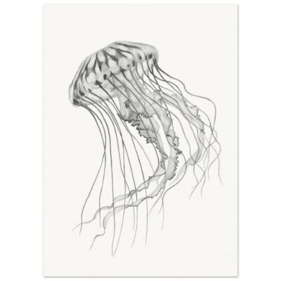 Museum-Quality Matte Paper Poster 50x70 cm / 20x28″