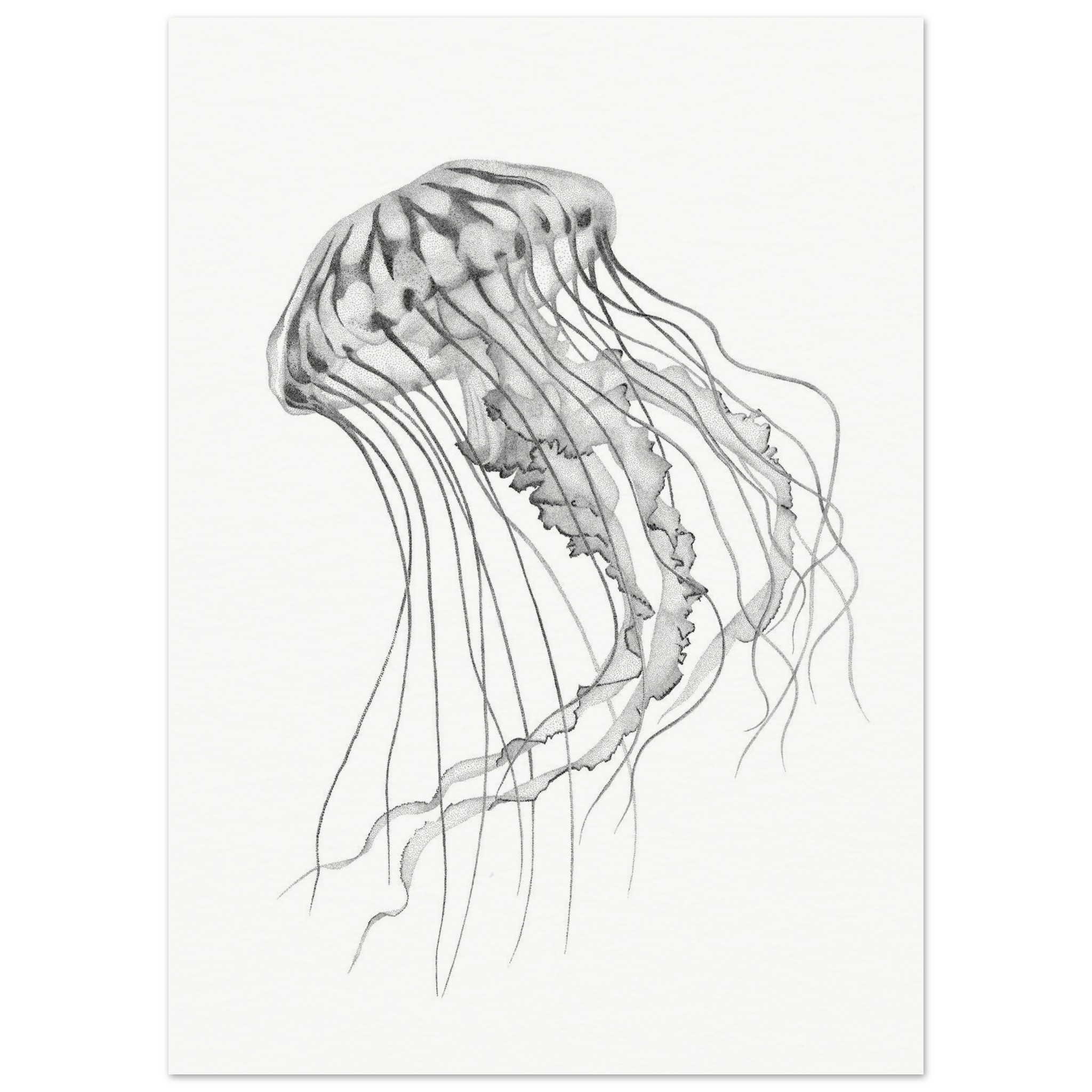 Museum-Quality Matte Paper Poster 50x70 cm / 20x28″ 1 Museum-Quality Matte Paper Poster 50x70 cm / 20x28″